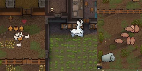 best pack animal rimworld|[Top 10] Rimworld Best Farm Animals That Are Great.